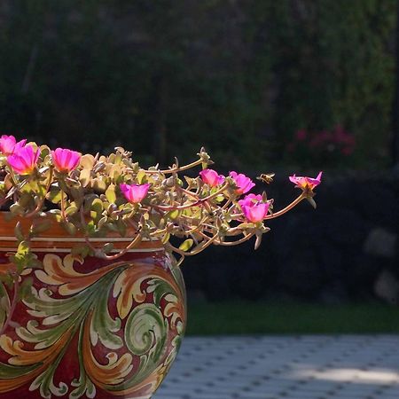 B&B Le Antiche Cisterne Tremestieri Etneo 外观 照片